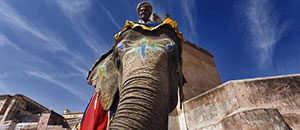 4 days golden triangle tour
